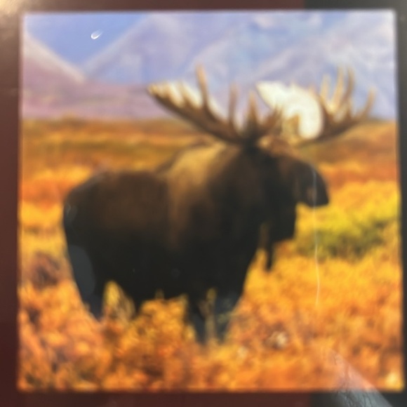 North America Wild Life 2025 12 Month Calendar NIP - Picture 14 of 16